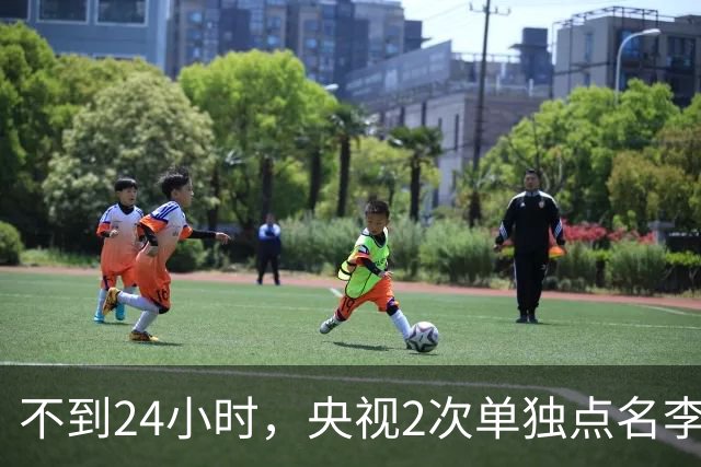 不到24小时，央视2次单独点名李雪健，原来李幼斌当时句句属实