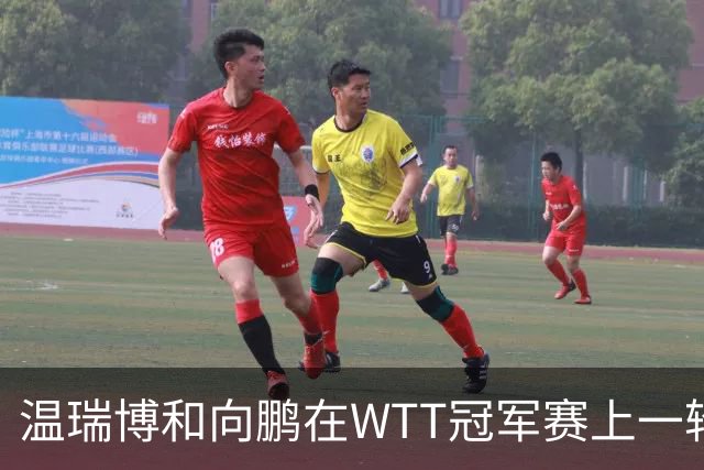 温瑞博和向鹏在WTT冠军赛上一轮游，为何不给削球手李天阳机会？